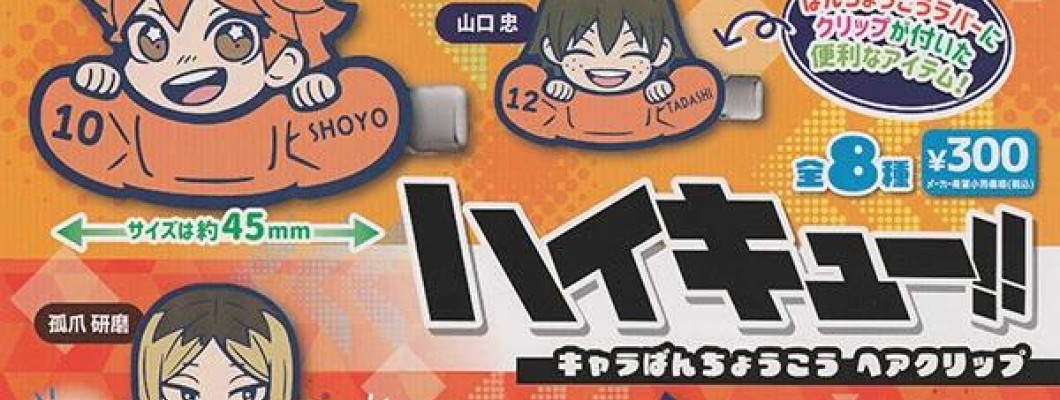 Stasto Haikyuu!! Chara Bancho Hair Clip - Заколка