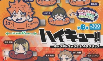 Stasto Haikyuu!! Chara Bancho Hair Clip