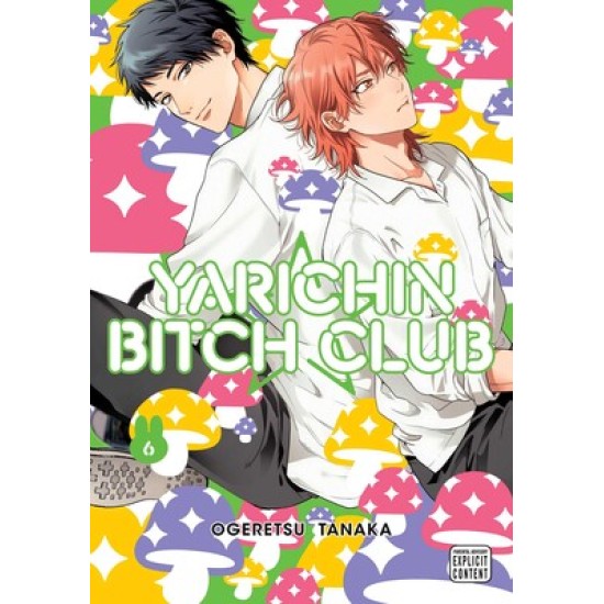 Yarichin Bitch Club Vol.6 (EN) Paperback - Grafiskā novele (Ogeretsu Tanaka)