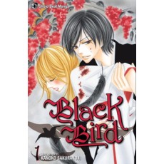 Black Bird Vol.1 (EN) Paperback - Grafiskā novele (Kanoko Sakurakouji)