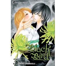 Black Bird Vol.3 (EN) Paperback - Grafiskā novele (Kanoko Sakurakouji)