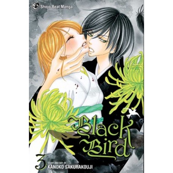 Black Bird Vol.3 (EN) Paperback - Grafiskā novele (Kanoko Sakurakouji)