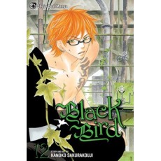 Black Bird Vol.12 (EN) Paperback - Grafiskā novele (Kanoko Sakurakouji)