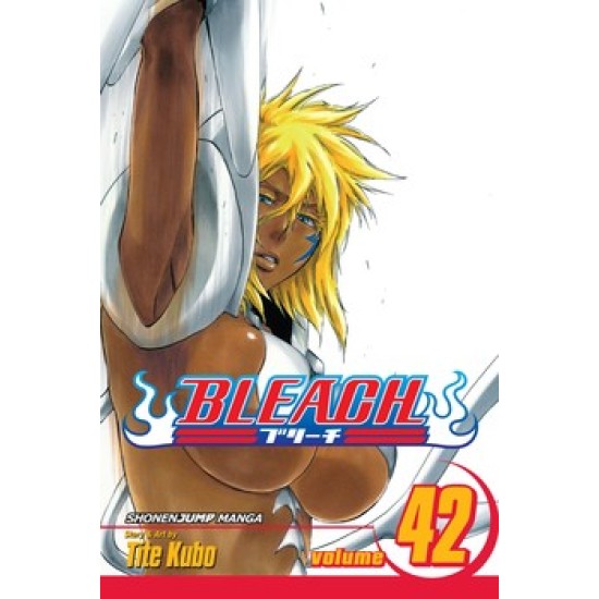 Bleach Vol.42 (EN) Paperback - Графическая новелла (Tite Kubo)