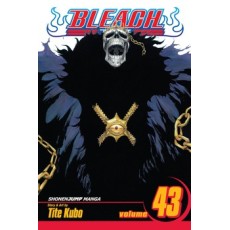 Bleach Vol.43 (EN) Paperback - Grafiskā novele (Tite Kubo)