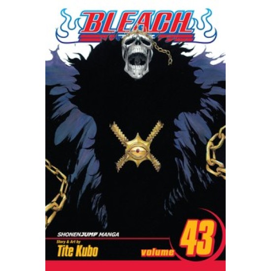 Bleach Vol.43 (EN) Paperback - Grafiskā novele (Tite Kubo)