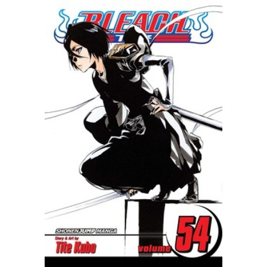 Bleach Vol.54 (EN) Paperback - Graphic novel (Tite Kubo)