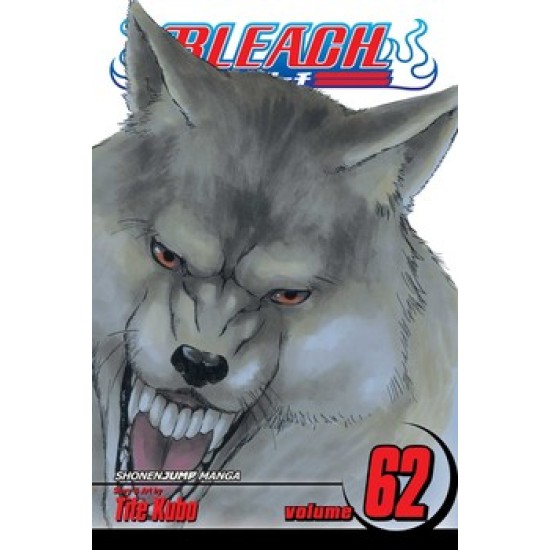 Bleach Vol.62 (EN) Paperback - Graphic novel (Tite Kubo)