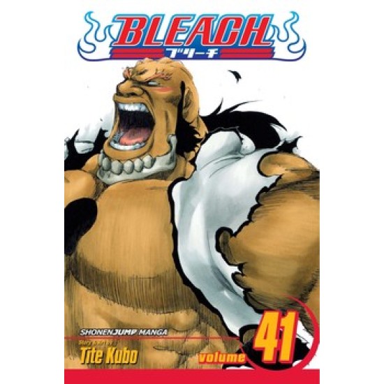 Bleach Vol.41 (EN) Paperback - Graphic novel (Tite Kubo)
