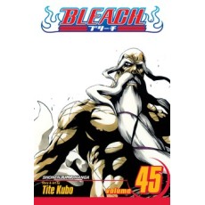 Bleach Vol.45 (EN) Paperback - Graphic novel (Tite Kubo)