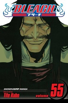 Bleach Vol.55 (EN) Paperback - Графическая новелла (Tite Kubo)