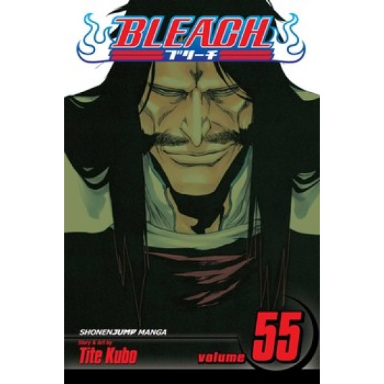 Bleach Vol.55 (EN) Paperback - Графическая новелла (Tite Kubo)