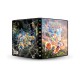 Ultra Pro: Pokemon SV07 - 4-Pocket Portfolio - Kāršu albums