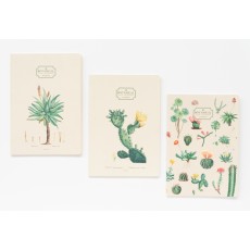 Grupo Erik Kokonote Botanical Cacti A5 Notebook 21 x 15cm (3.pcs)