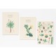 Grupo Erik Kokonote Botanical Cacti A5 Notebook 21 x 15cm (3.pcs) - Klade