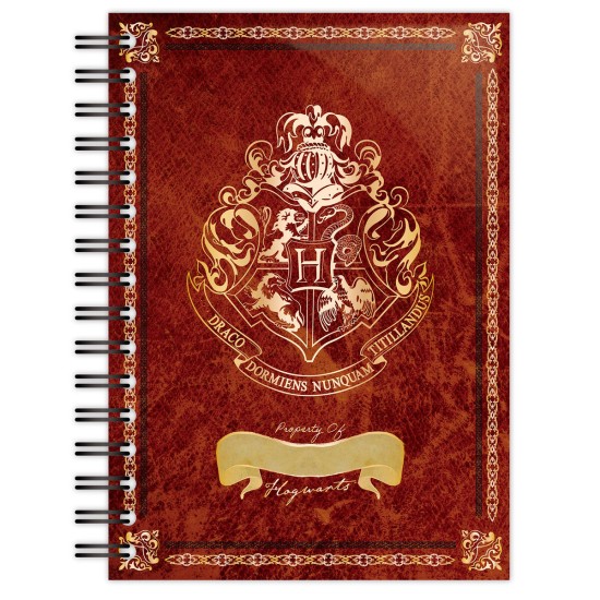 Blue Sky Studios Harry Potter A5 Notebook 21 x 15cm - Hogwarts - Klade