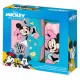 Kids Euroswan Disnay Mickey Mouse Minnie Canteen Steel Bottle 500ml / Lunch Box Set - Komplekts metāliska pudele / pusdienu trauks