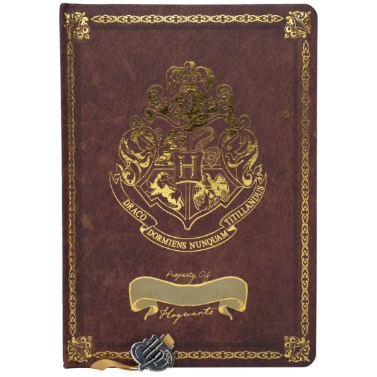 Blue Sky Studios Harry Potter A5 Notebook 21 x 15cm - Hogwarts - Klade