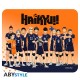 ABYstyle Haikyu!! Flexible Mousepad 23.5 x 19.5 cm - Karasuno Team - Peles paliktnis