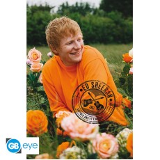 ABYstyle Ed Sheeran Poster Maxi 91.5 x 61 cm - Rose Field - Plakāts