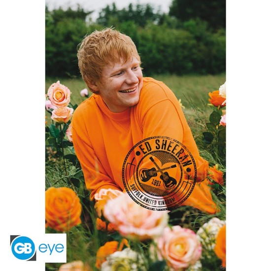 ABYstyle Ed Sheeran Poster Maxi 91.5 x 61 cm - Rose Field - Plakāts
