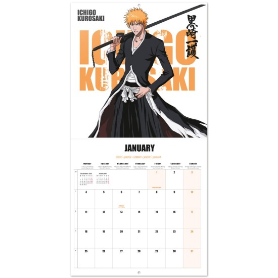 Grupo Erik Bleach 2027 Calendar 30 x 30cm