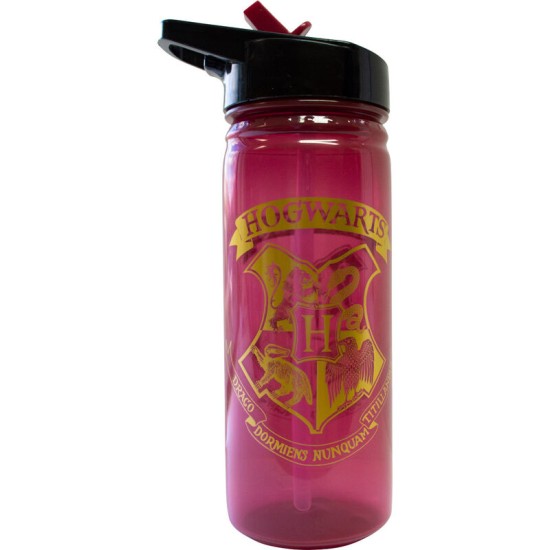 Warner Bros Harry Potter Hydro Bottle 600ml - Ūdens pudele