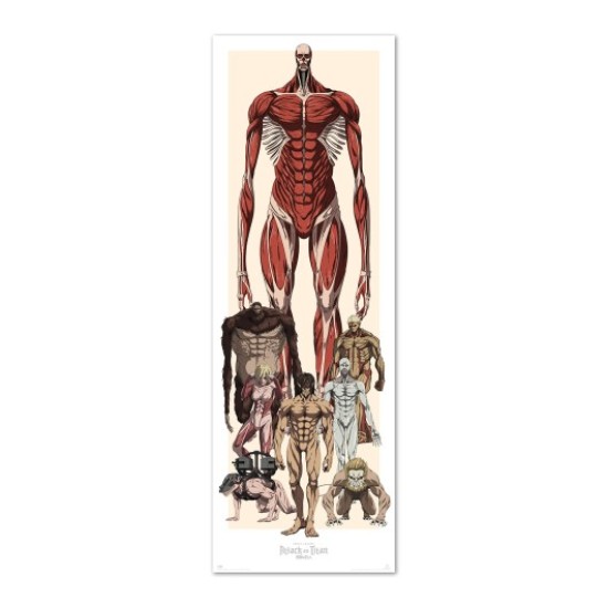 Grupo Erik Attack on Titan Door Poster 53 x 158 cm - Durvju plakāts