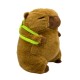 Capybara Assorted Plush Toy 18cm - Zaļa Mugursoma - Plīša rotaļlieta