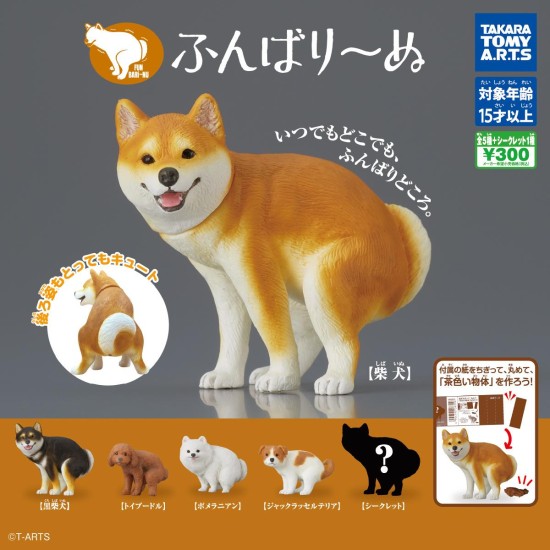 Takara Tomy Funbari nu