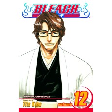 Bleach Vol.12 (EN) Paperback - Graphic novel (Tite Kubo)