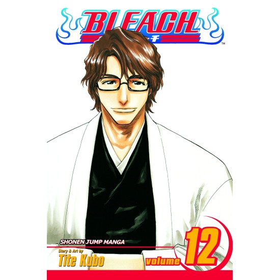 Bleach Vol.12 (EN) Paperback - Графическая новелла (Tite Kubo)