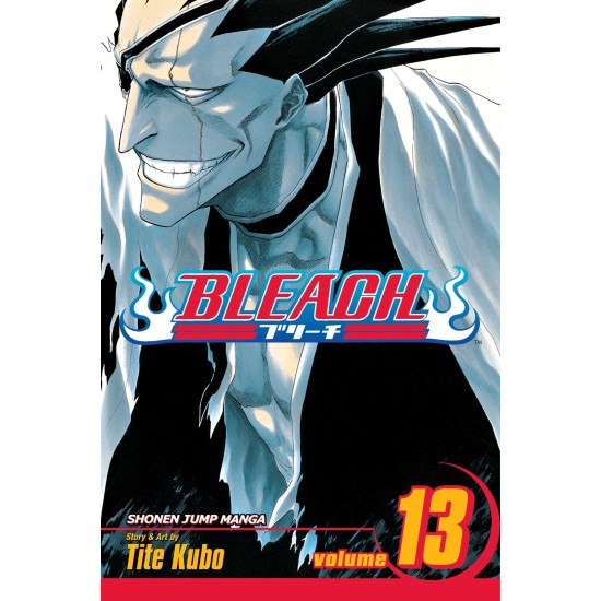 Bleach Vol.13 (EN) Paperback - Графическая новелла (Tite Kubo)
