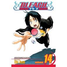 Bleach Vol.14 (EN) Paperback - Graphic novel (Tite Kubo)