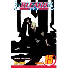 Bleach Vol.15 (EN) Paperback - Graphic novel (Tite Kubo)