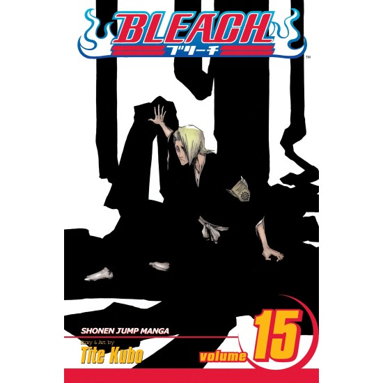 Bleach Vol.15 (EN) Paperback - Графическая новелла (Tite Kubo)