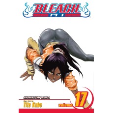 Bleach Vol.17 (EN) Paperback - Graphic novel (Tite Kubo)