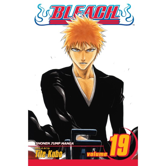 Bleach Vol.19 (EN) Paperback - Графическая новелла (Tite Kubo)