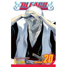 Bleach Vol.20 (EN) Paperback - Graphic novel (Tite Kubo)