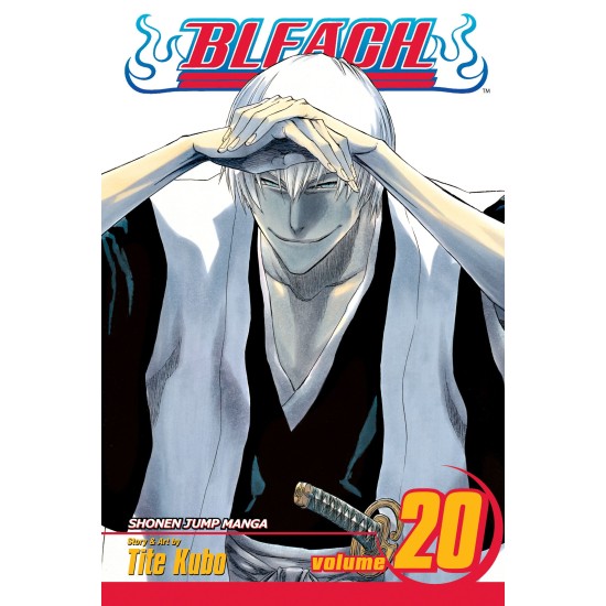 Bleach Vol.20 (EN) Paperback - Графическая новелла (Tite Kubo)