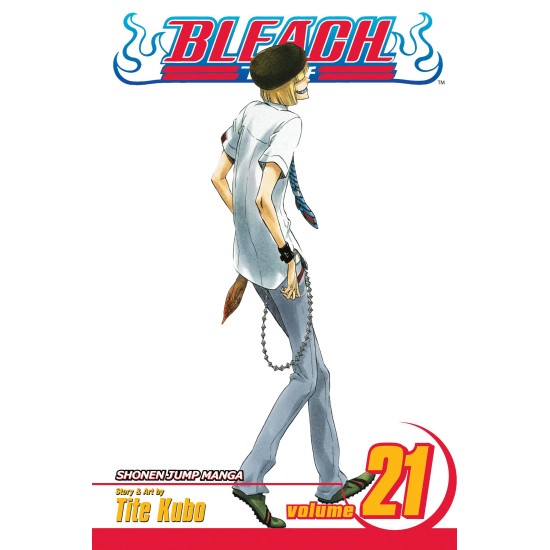 Bleach Vol.21 (EN) Paperback - Графическая новелла (Tite Kubo)