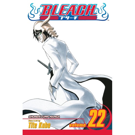 Bleach Vol.22 (EN) Paperback - Графическая новелла (Tite Kubo)