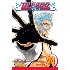 Bleach Vol.24 (EN) Paperback - Graphic novel (Tite Kubo)