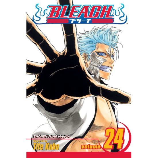 Bleach Vol.24 (EN) Paperback - Графическая новелла (Tite Kubo)