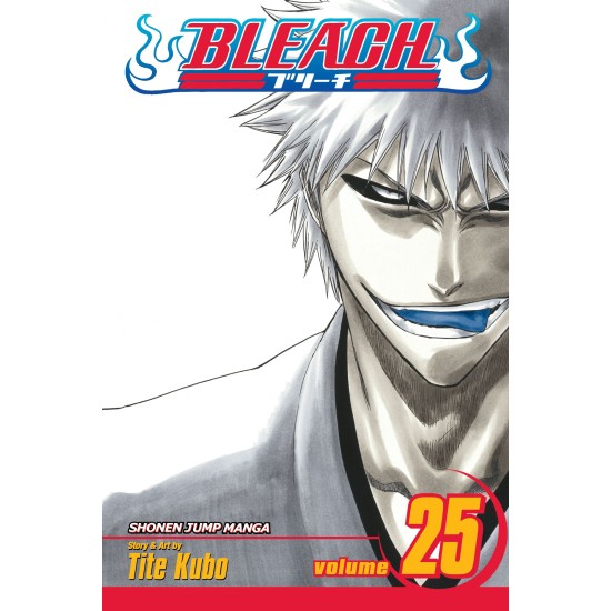 Bleach Vol.25 (EN) Paperback - Графическая новелла (Tite Kubo)