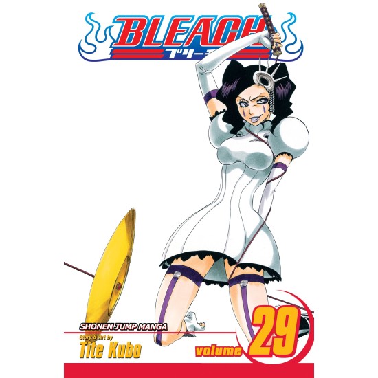Bleach Vol.29 (EN) Paperback - Графическая новелла (Tite Kubo)