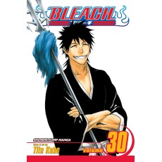 Bleach Vol.30 (EN) Paperback - Graphic novel (Tite Kubo)