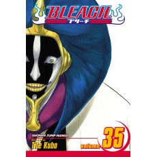 Bleach Vol.35 (EN) Paperback - Graphic novel (Tite Kubo)