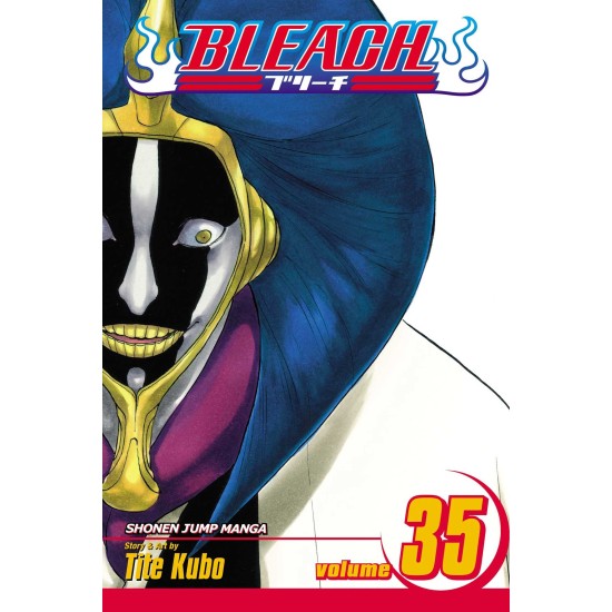 Bleach Vol.35 (EN) Paperback - Графическая новелла (Tite Kubo)