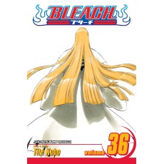 Bleach Vol.36 (EN) Paperback - Graphic novel (Tite Kubo)